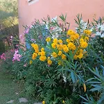 D'hotes, A La Nuitee Bed & Breakfast 3*