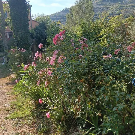 Etage Privatif Au Calme - 2 & Salle De Bains Bed & Breakfast 3*